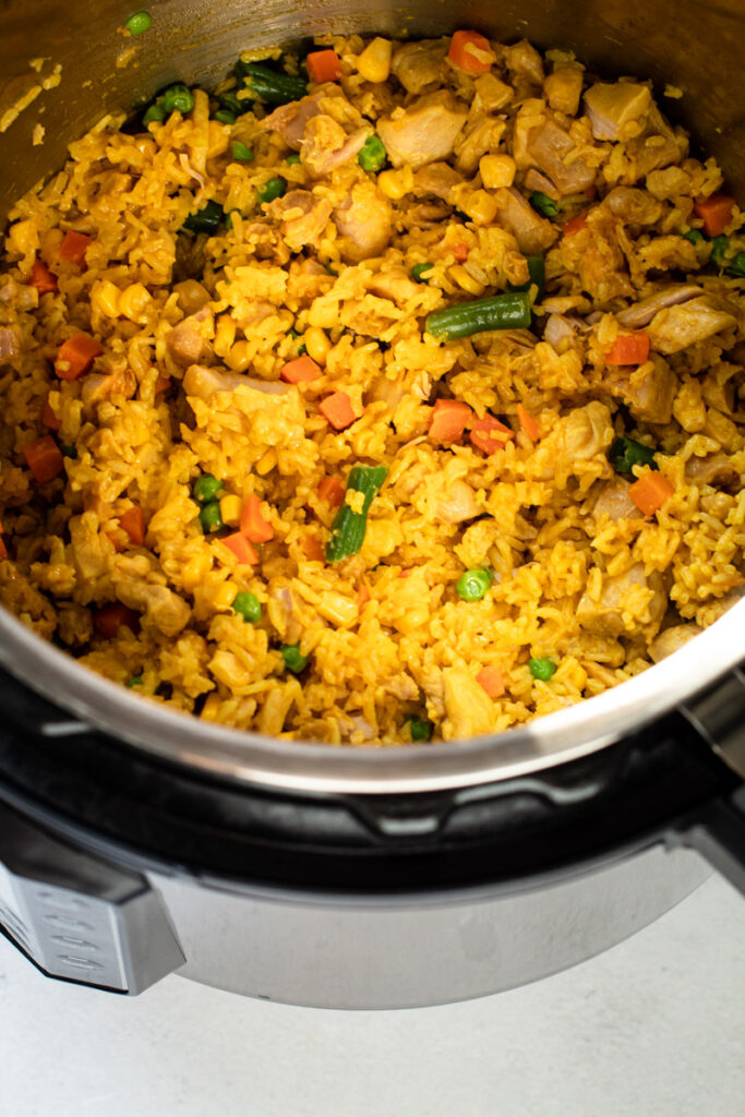 Instant pot chicken and rice.
