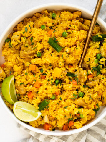 A bowl of chicken and rice made in the instant pot.