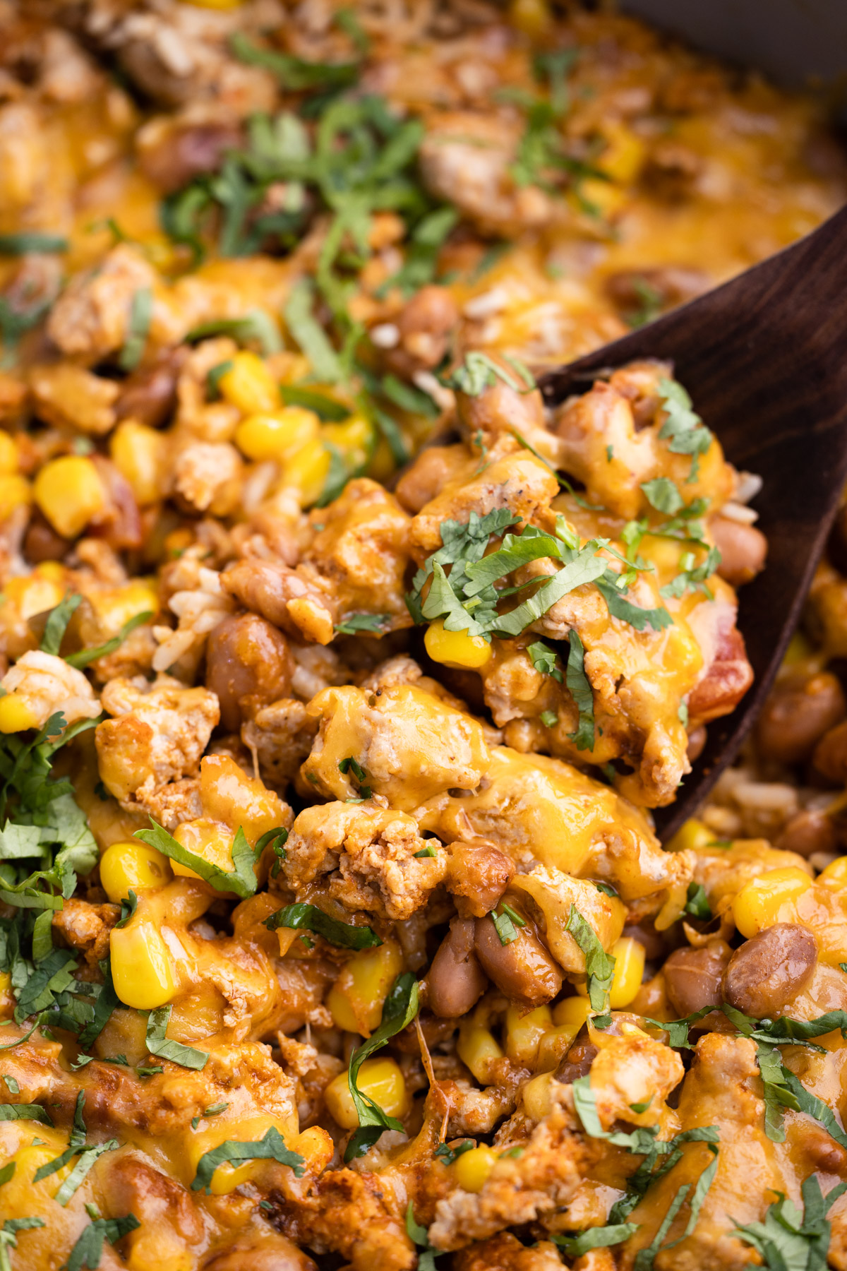 Turkey taco rice skillet with cilantro on top.