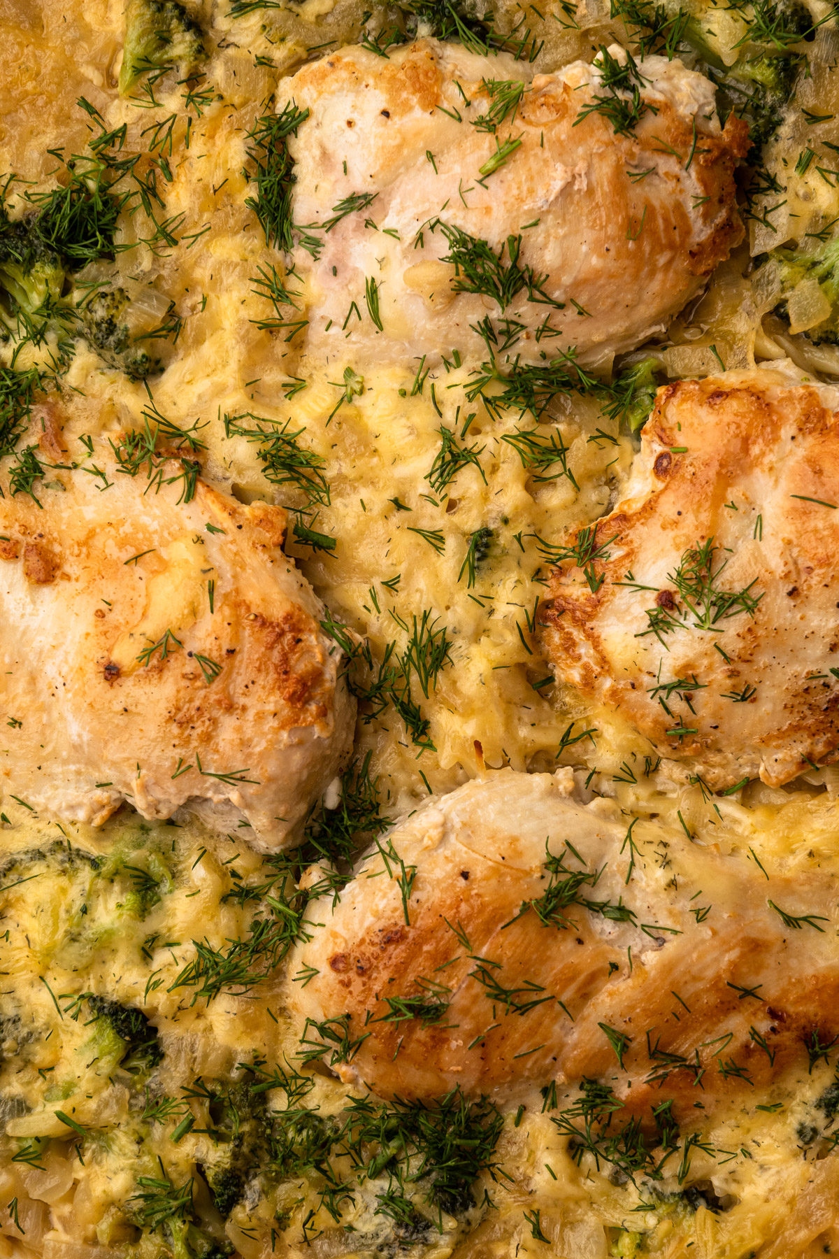 Chicken and orzo bake with broccoli and dill.