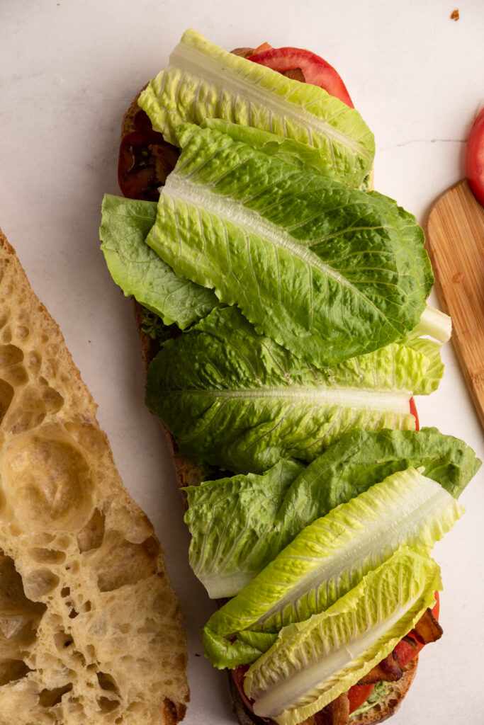 Making a blt with avocado sandwich.