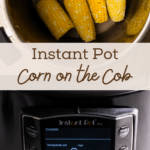 Cooked instant pot corn in the instant pot container.