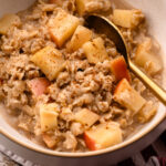 A bowl with diced apples cooked with oatmeal.