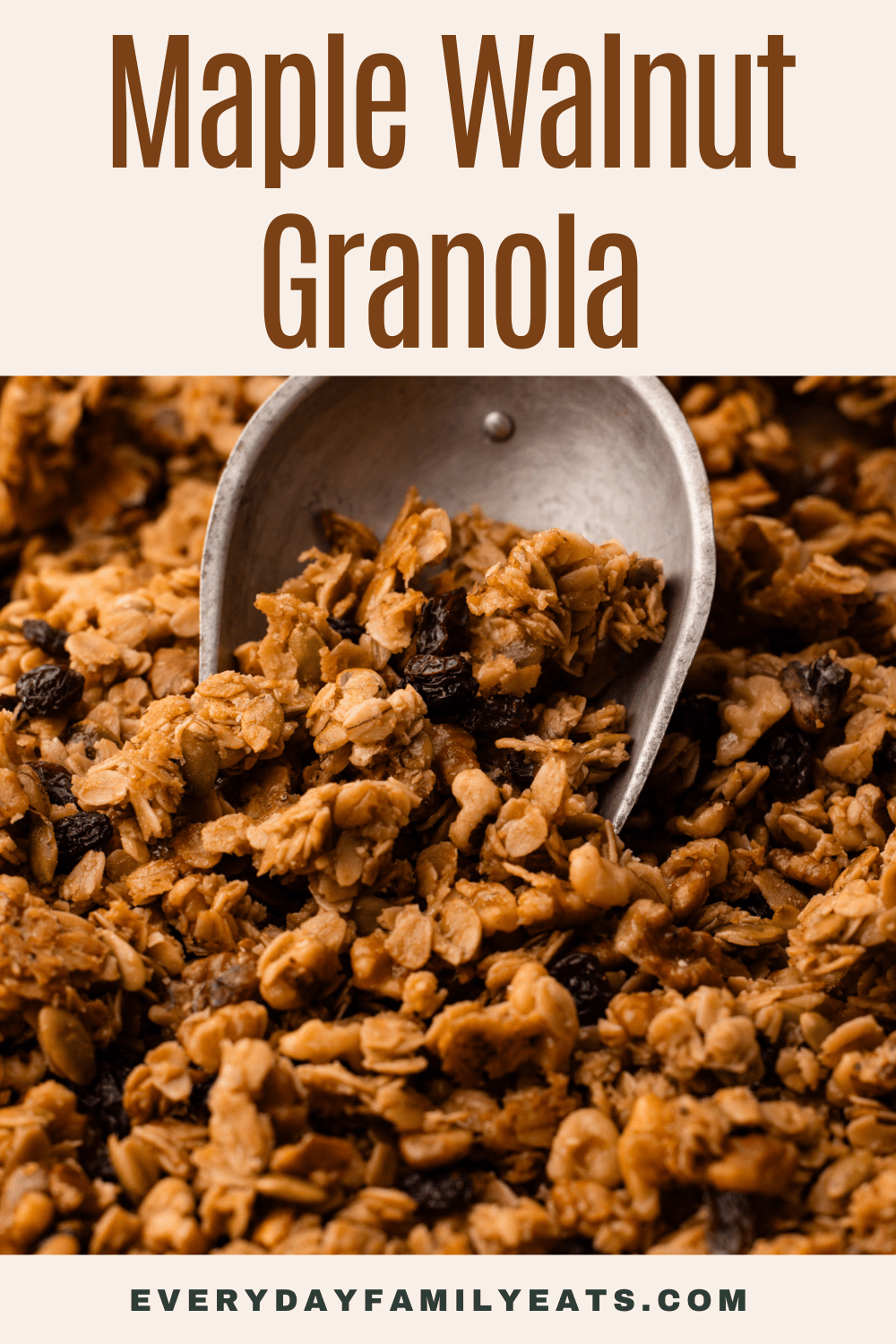 A metal scoop filled with baked maple walnut granola.