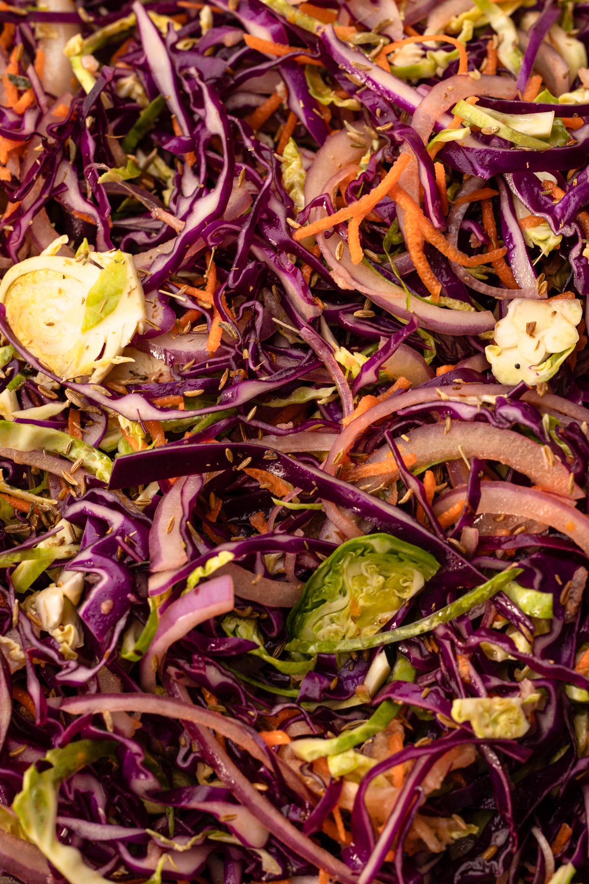 Finished winter slaw.