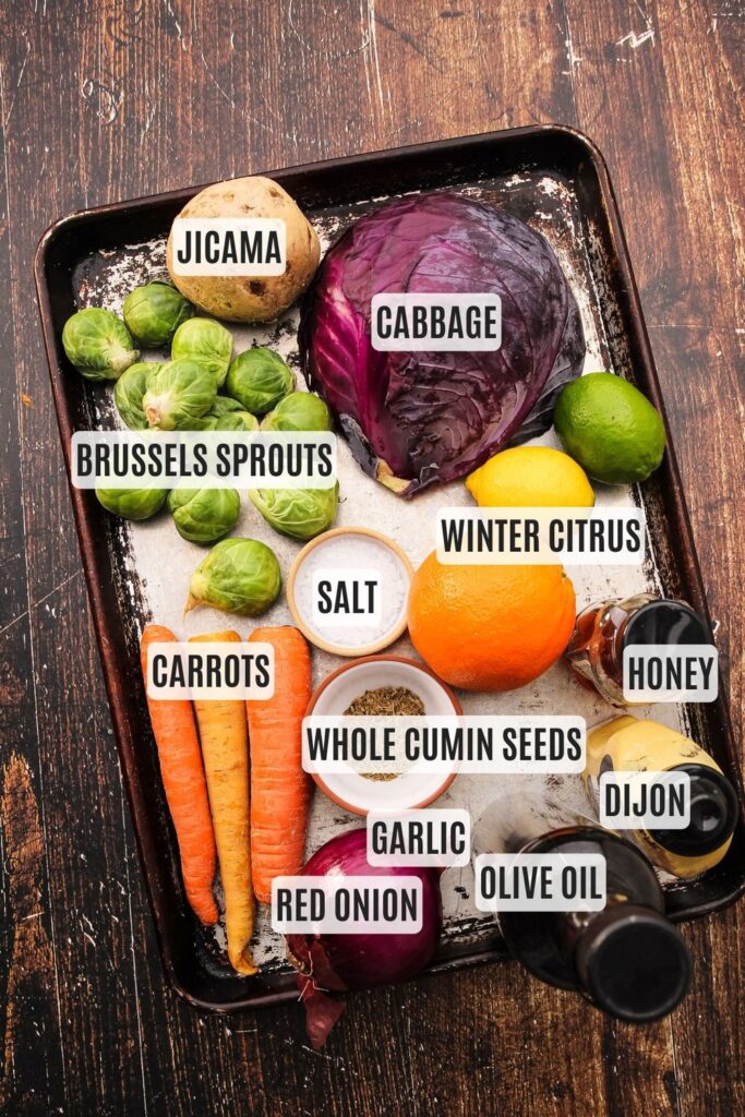 Cumin Citrus Winter Slaw Everyday Family Eats cumin-citrus-winter-slaw-everyday-family-eats