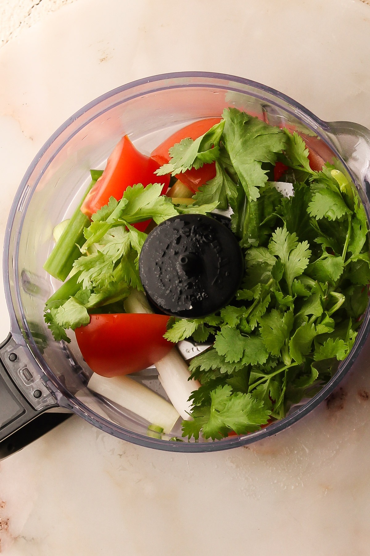 Onions, tomatoes and cilantro in a mini food chopper.