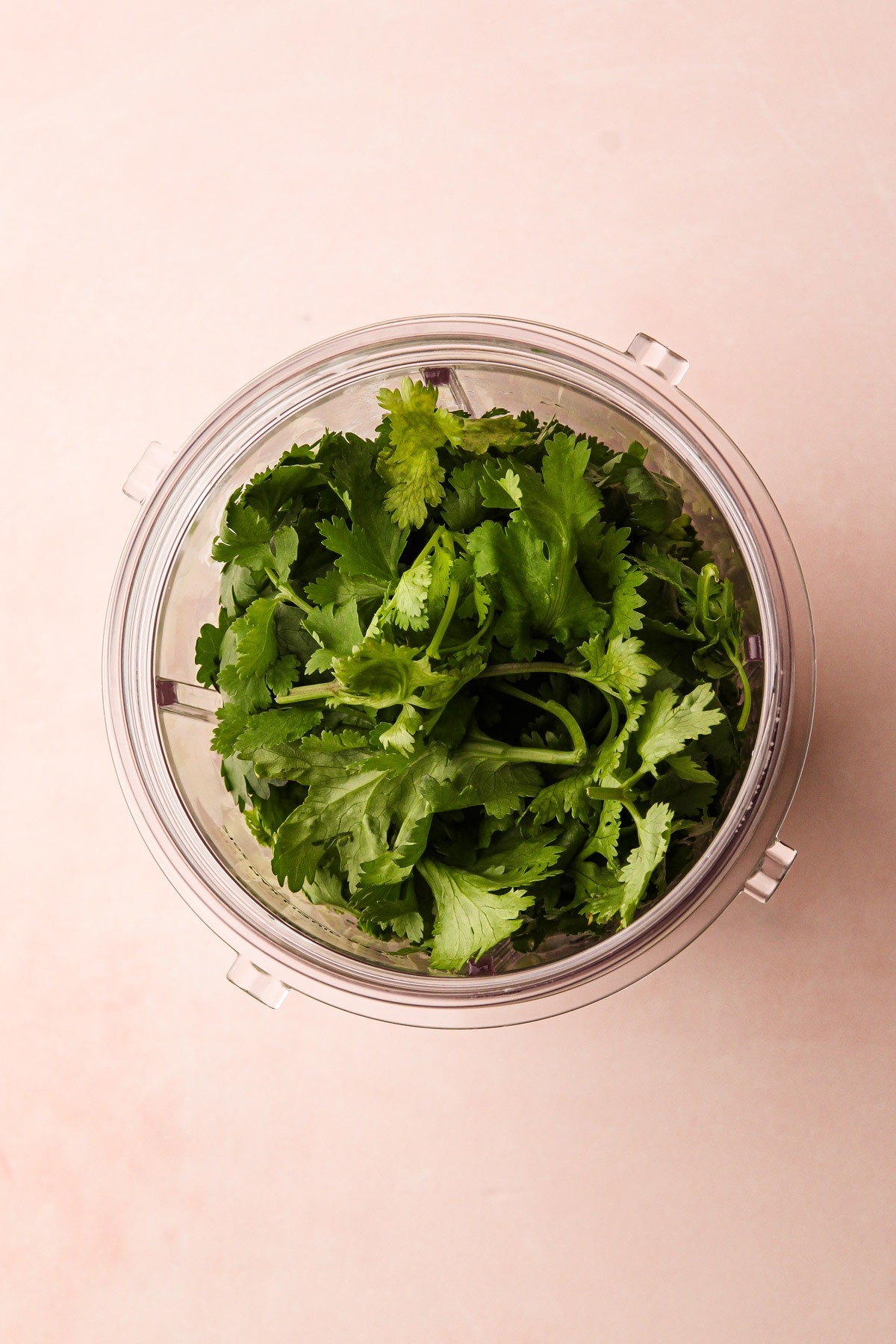 Fresh cilantro in a blender cup.