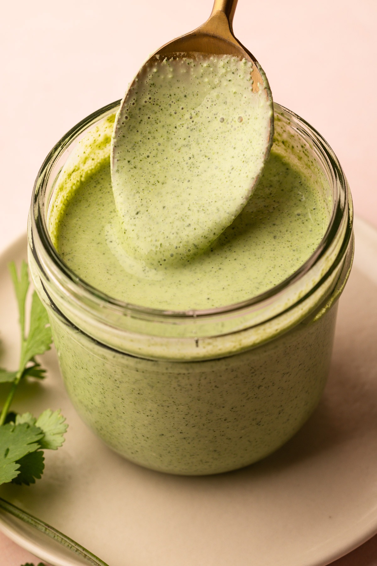 Creamy cilantro sauce in a jar.