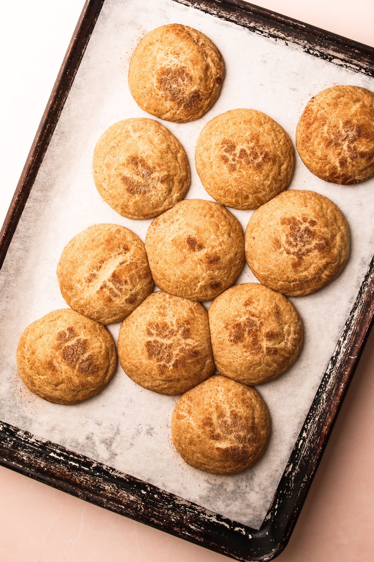 Freshly baked snickerdoodles cooling on parchment paper.