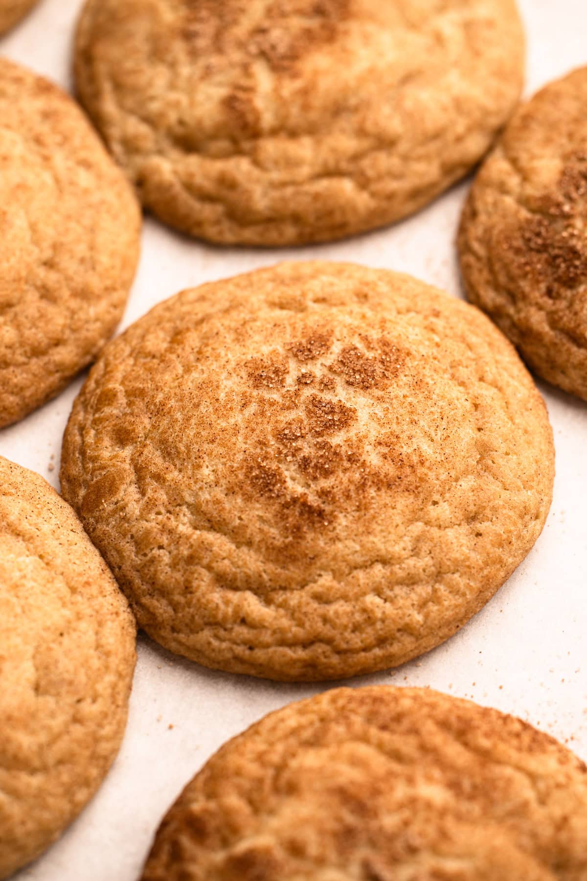 An easy snickerdoodle cookie recipe baked fresh from the oven.