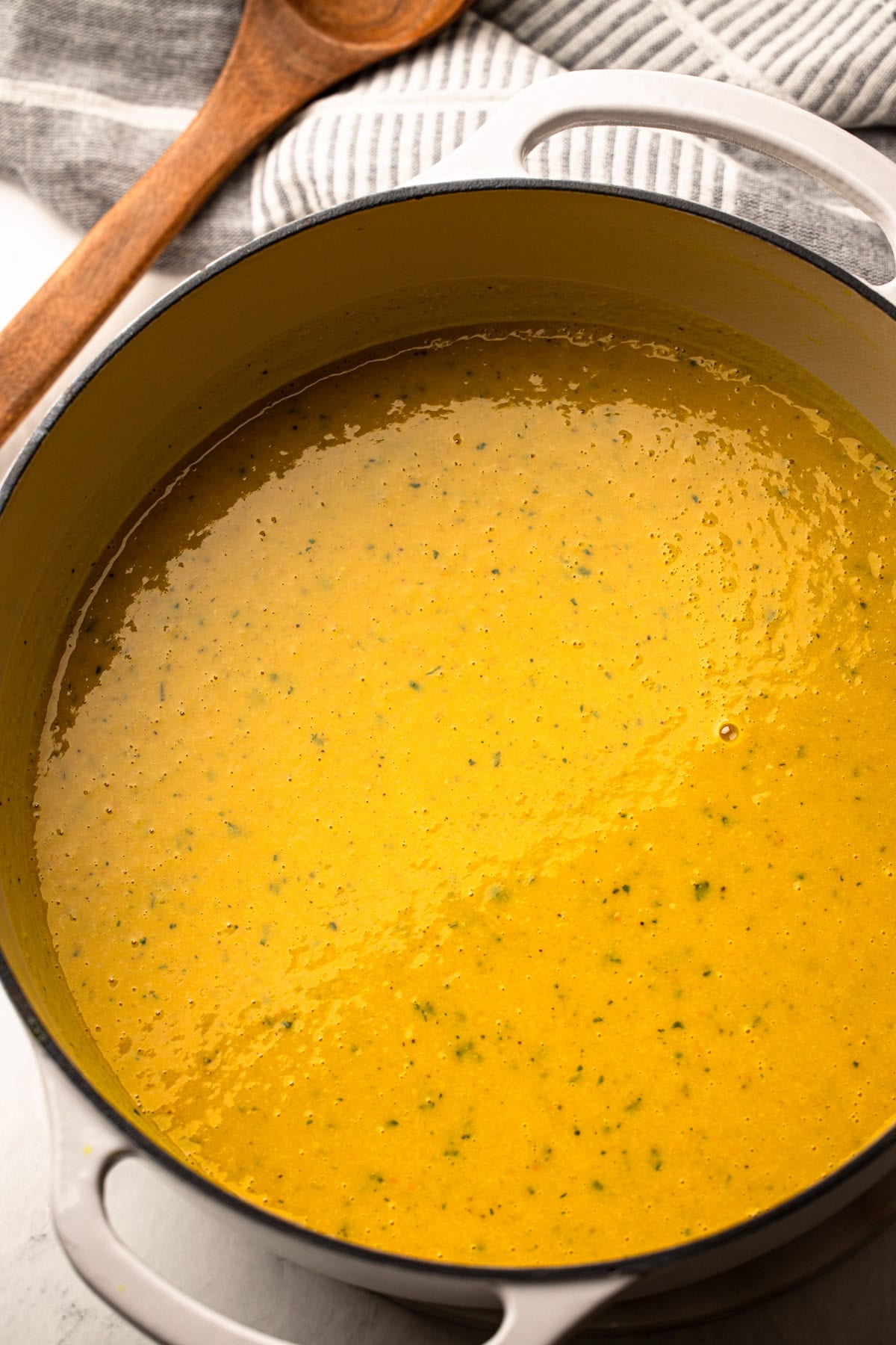 Pureed winter squash soup.