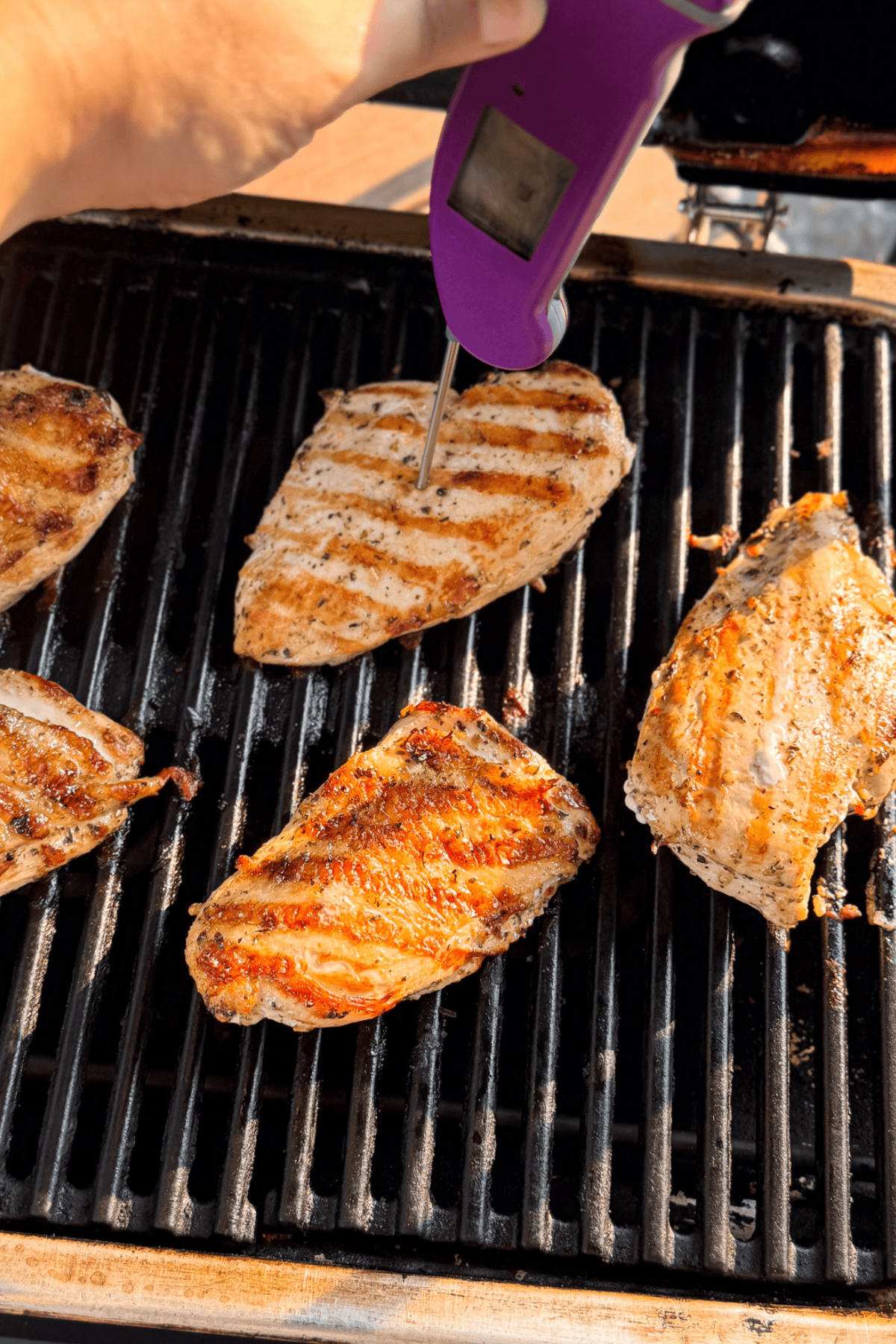 A thermometer checking the internal temperature of grilled chicken breasts.